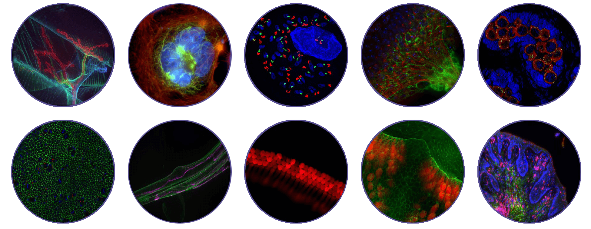 イメージギャラリー